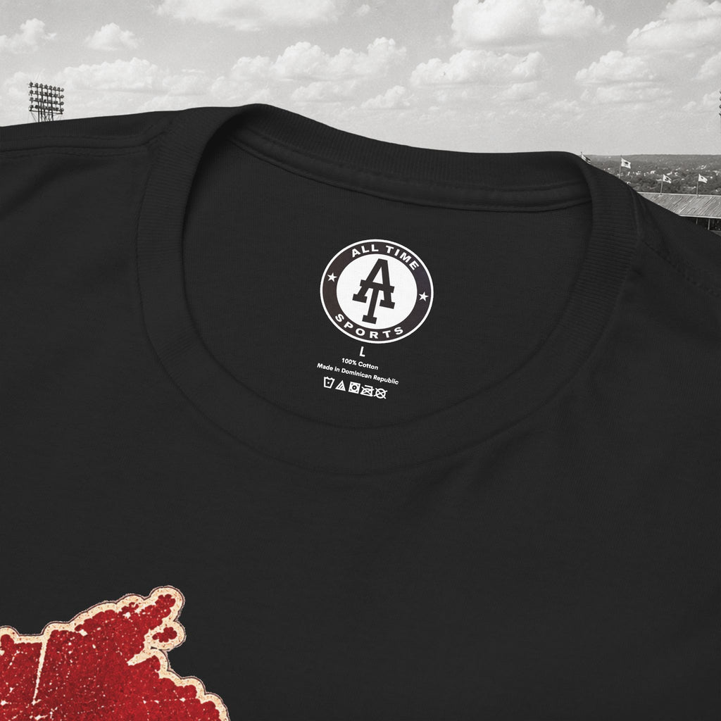 Wisconsin Gameday Tee