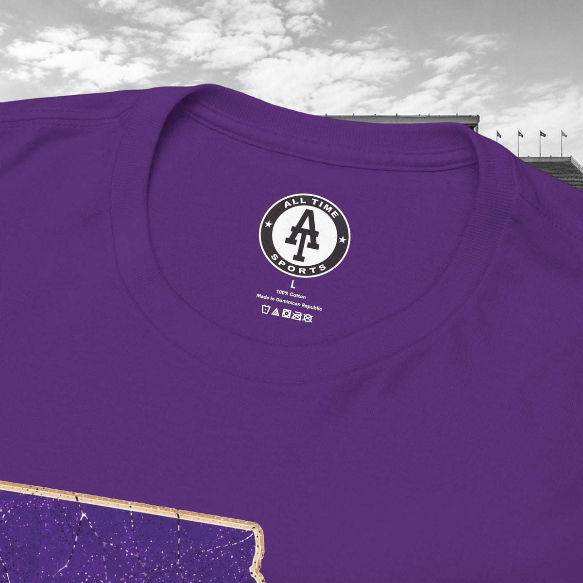 LSU Gameday Tee