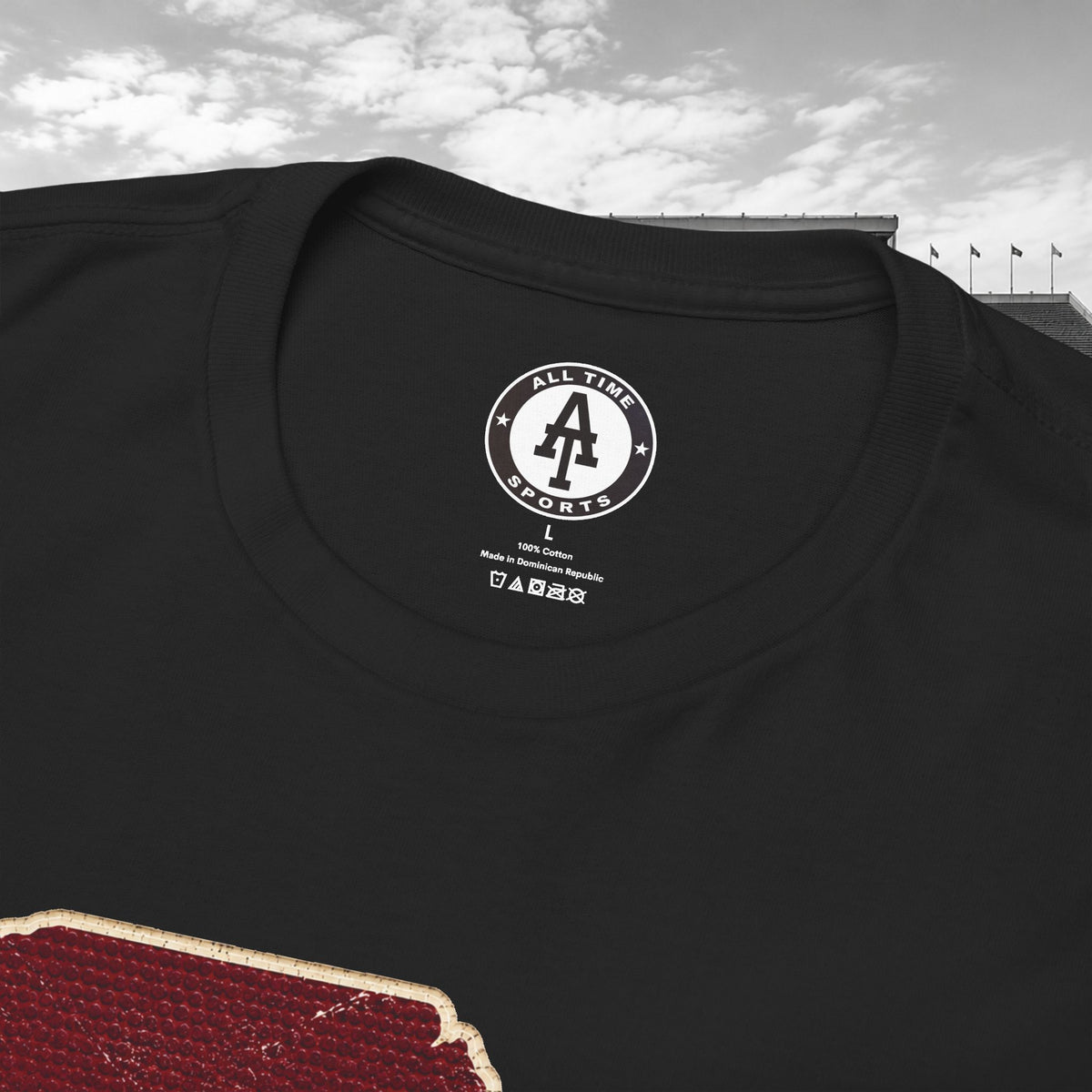 South Carolina Gameday Tee