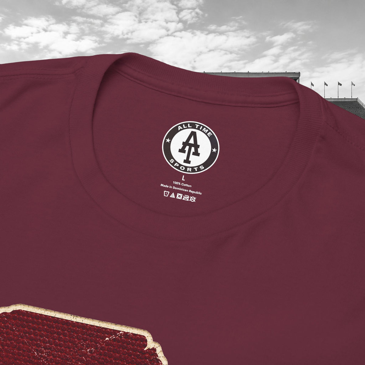 South Carolina Gameday Tee
