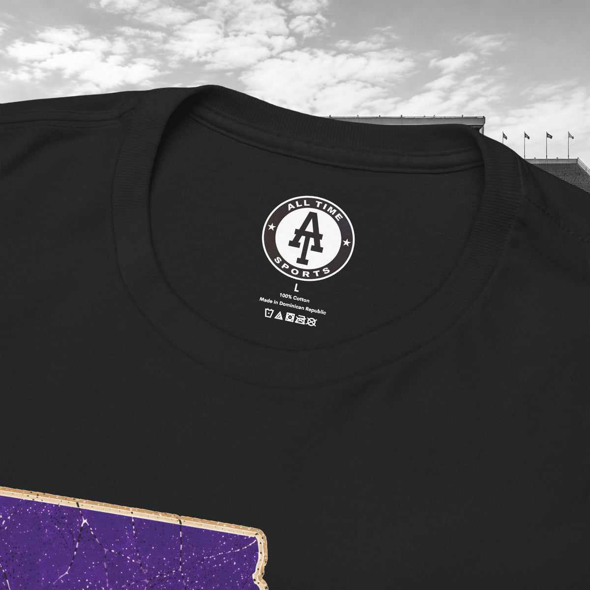 LSU Gameday Tee